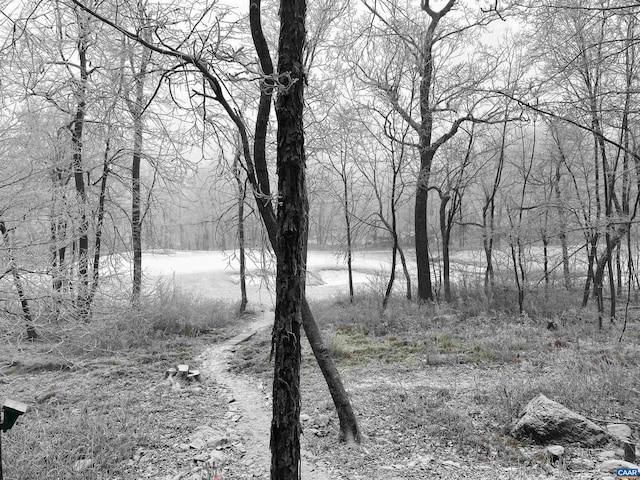 view of local wilderness with a water view