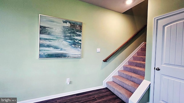 stairway with hardwood / wood-style floors