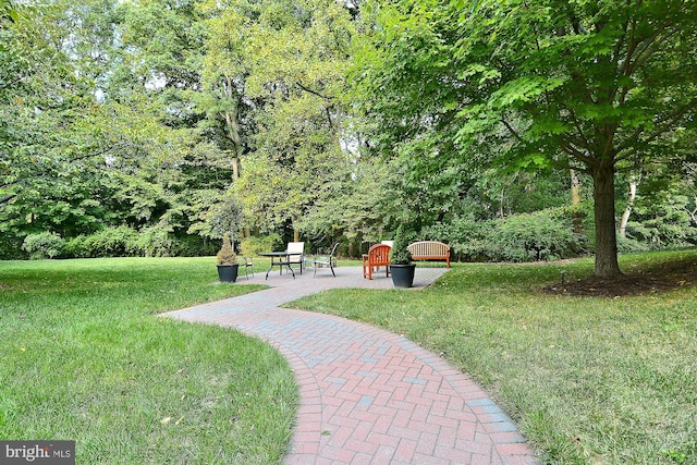 view of community with a patio and a lawn