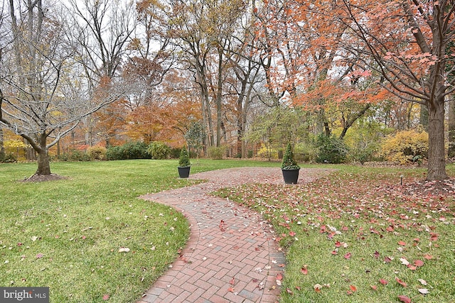 view of home's community with a yard