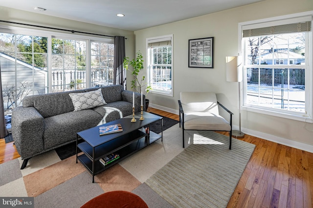 living room with wood-type flooring and a wealth of natural light