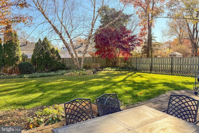 view of yard featuring a patio