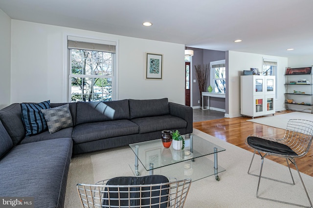 living room with hardwood / wood-style flooring