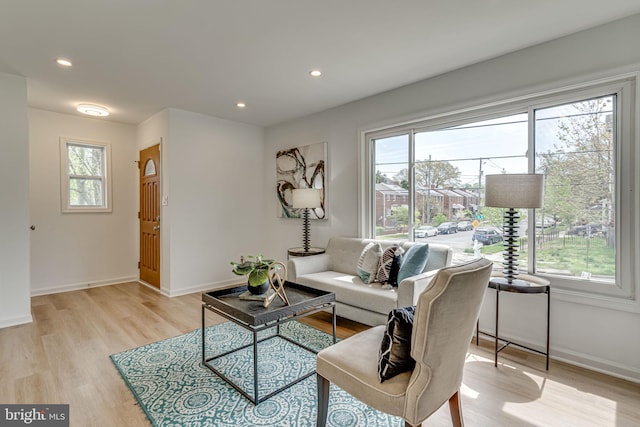 living room featuring light hardwood / wood-style floors