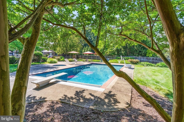 view of swimming pool featuring a patio area, a fenced in pool, a fenced backyard, and a diving board