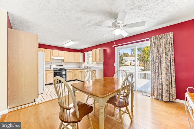 dining space featuring ceiling fan, sink, and light wood-type flooring