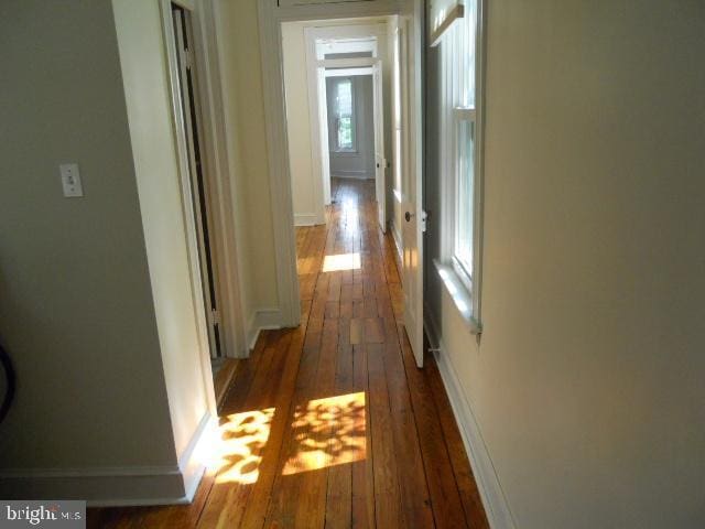 hall with dark hardwood / wood-style floors