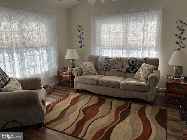 living room with ceiling fan, plenty of natural light, and wood-type flooring