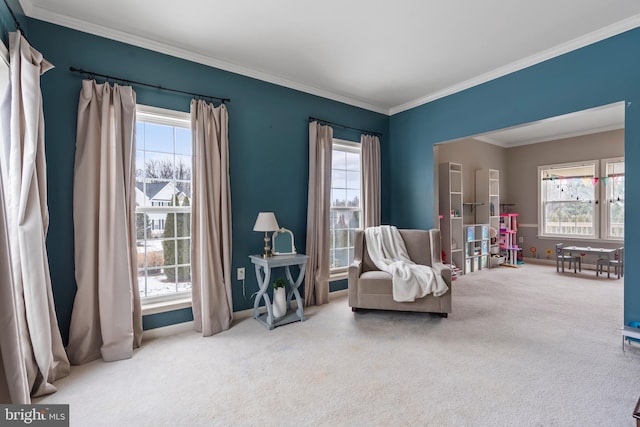 sitting room with crown molding and carpet floors