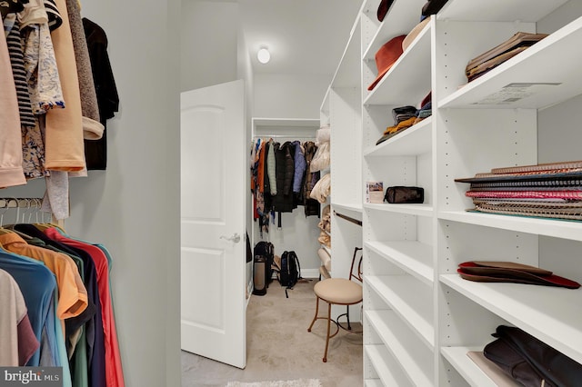 view of spacious closet