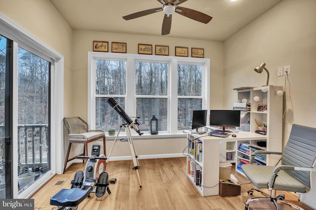 home office with light hardwood / wood-style flooring and ceiling fan