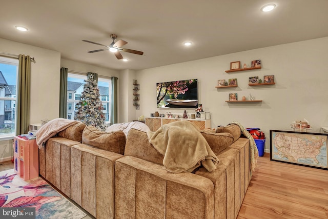 living room with ceiling fan and light wood-type flooring