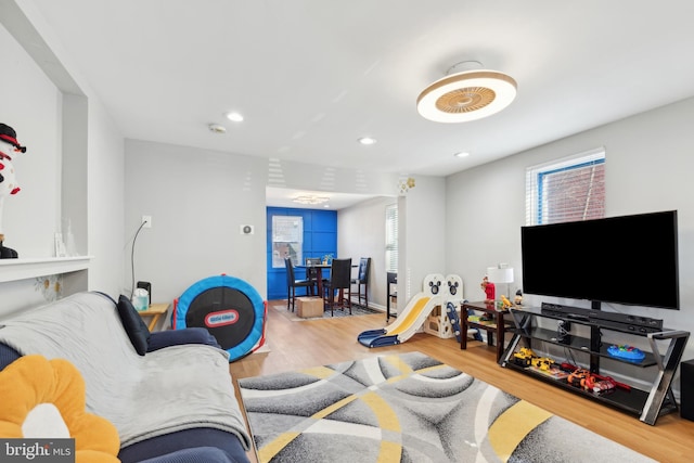 living room featuring wood-type flooring