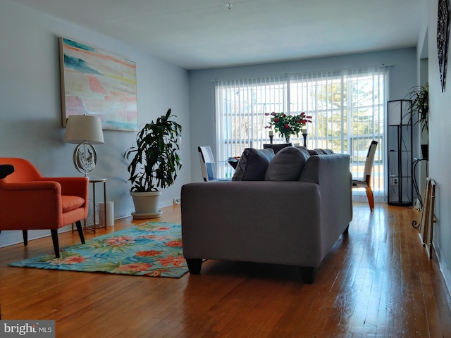 living room featuring wood-type flooring