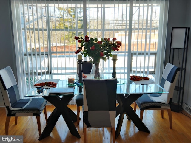 dining room with hardwood / wood-style flooring