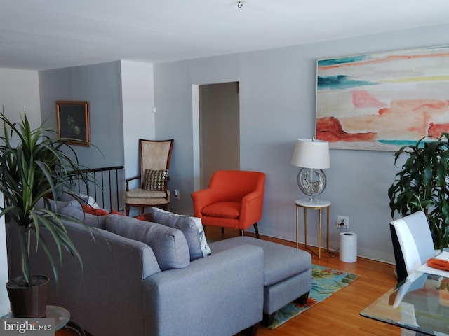 living room featuring wood-type flooring