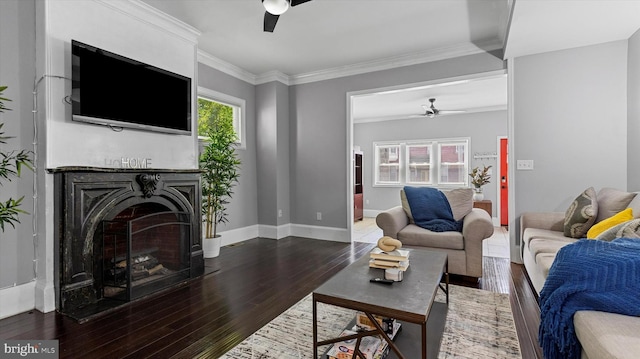 living room featuring wood-type flooring and crown molding