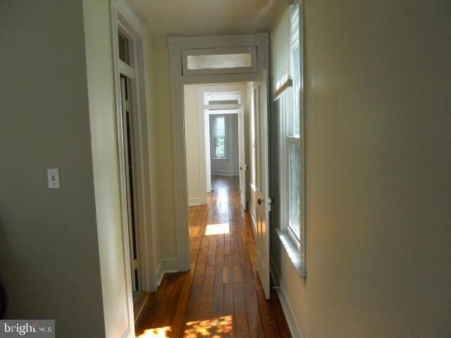 hallway with dark hardwood / wood-style flooring