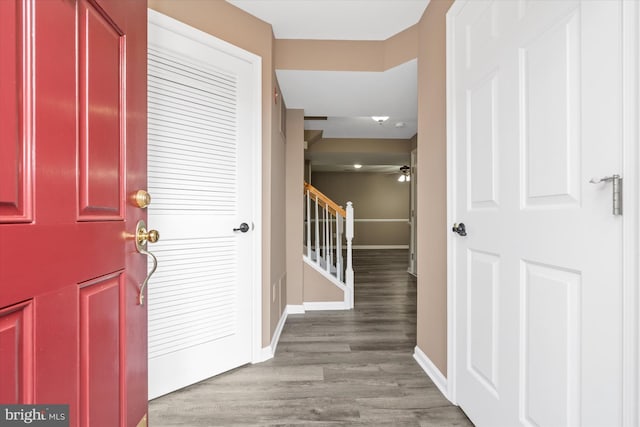 entryway featuring ceiling fan and wood-type flooring