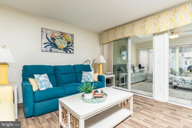 living room with crown molding and wood-type flooring