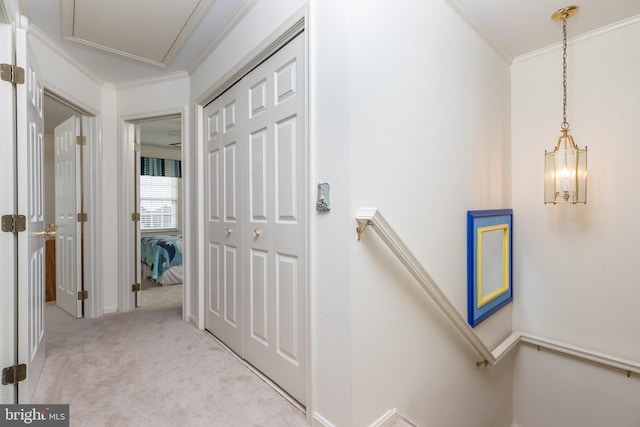 corridor with crown molding and light colored carpet