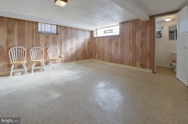 below grade area with wooden walls and baseboards