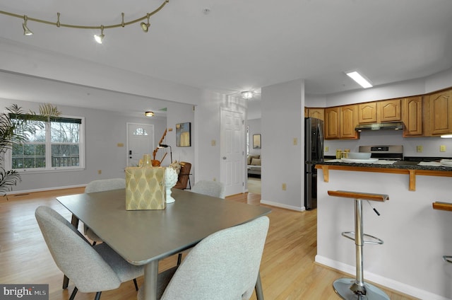 dining room with light hardwood / wood-style floors