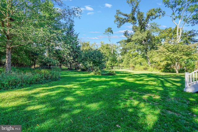 view of yard