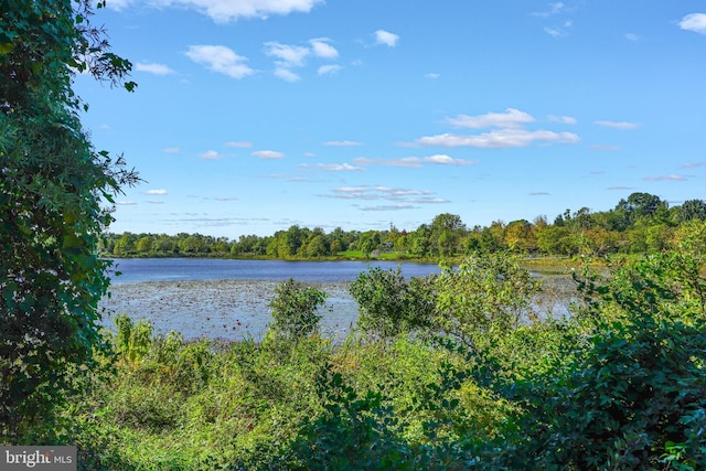 property view of water