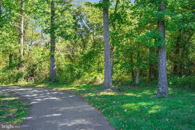 view of road