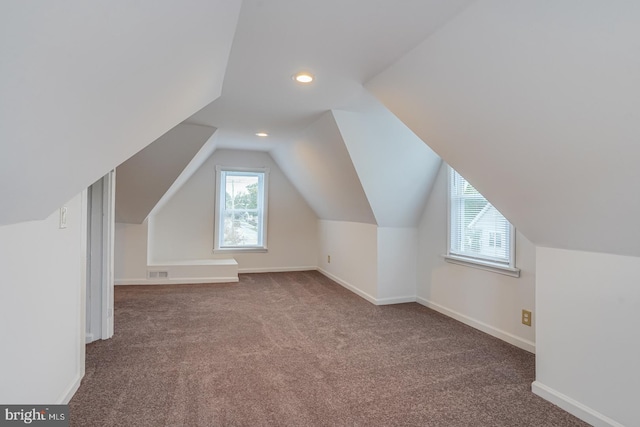 additional living space with carpet and lofted ceiling