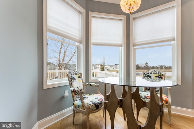 dining room with a chandelier and hardwood / wood-style floors