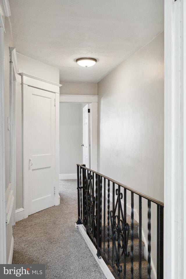 hallway featuring carpet floors