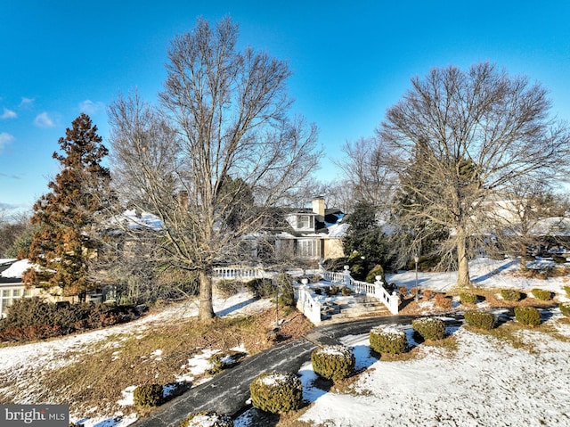 view of yard covered in snow