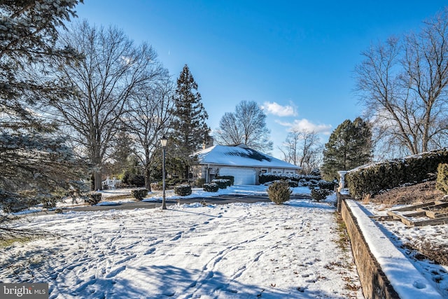 view of yard covered in snow