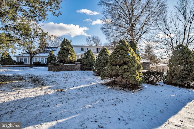 view of yard layered in snow