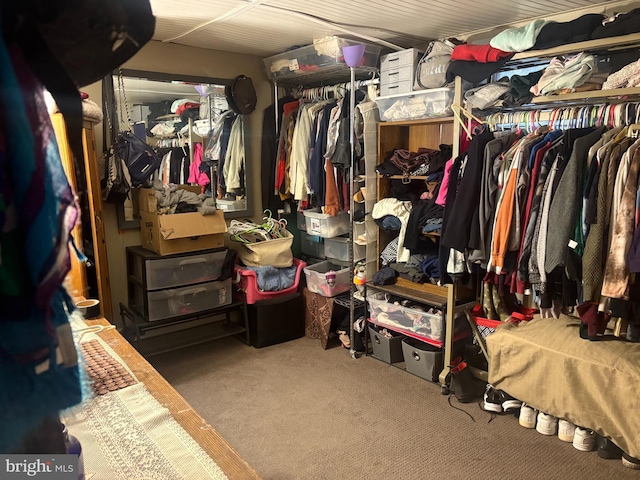 spacious closet with carpet flooring