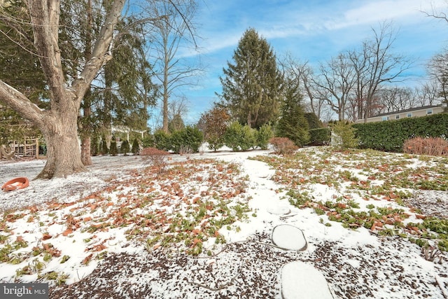 view of yard covered in snow