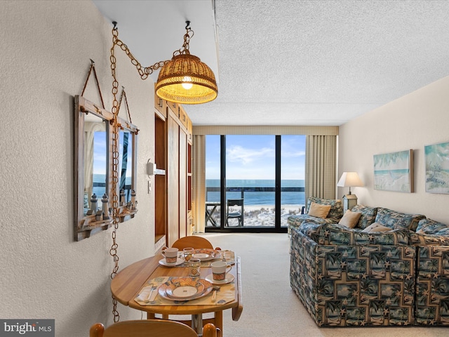 carpeted living room with a wealth of natural light, a water view, a textured ceiling, and a wall of windows