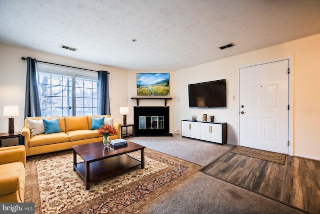 living room with carpet flooring and a textured ceiling