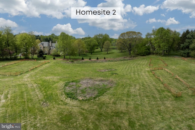 view of yard with a rural view