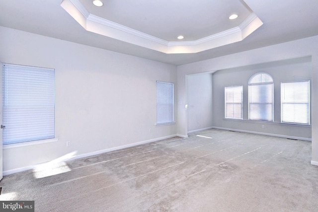 empty room featuring a tray ceiling, crown molding, and light colored carpet