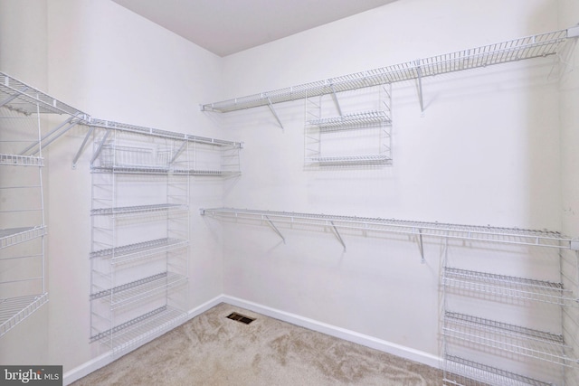 walk in closet with carpet flooring