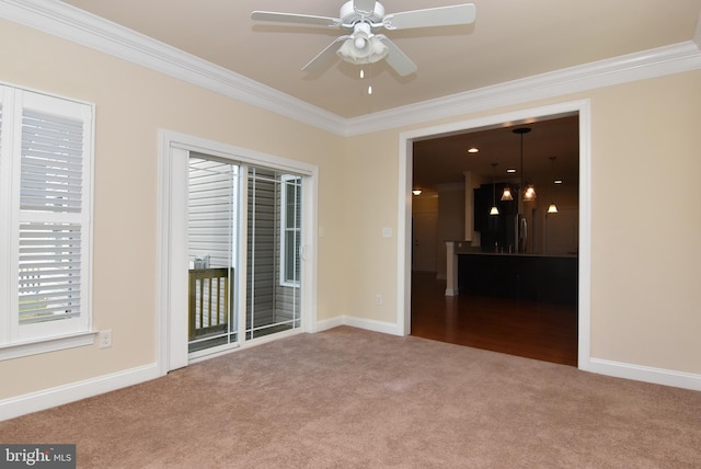 carpeted empty room with ceiling fan and ornamental molding