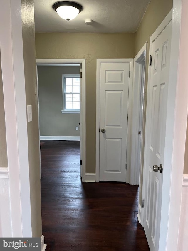 hallway with dark wood-type flooring