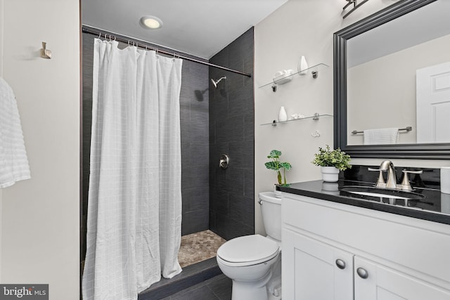 bathroom featuring vanity, toilet, and curtained shower