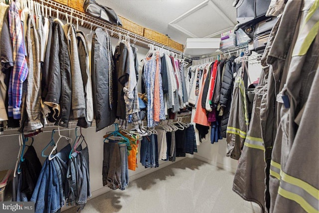 spacious closet featuring carpet