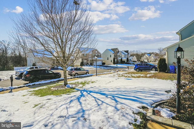 view of snowy yard