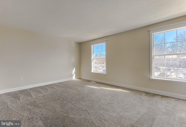 spare room featuring carpet