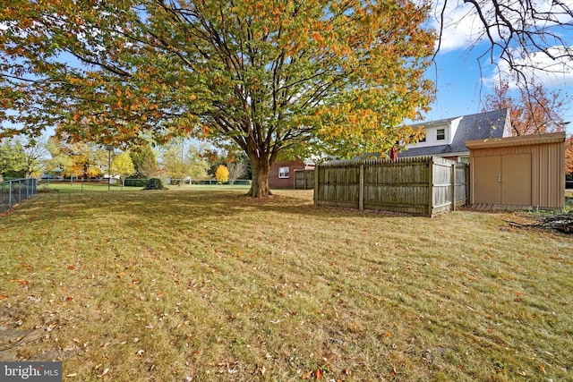 view of yard featuring a shed